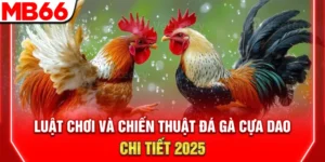 Luật Chơi Và Chiến Thuật Đá Gà Cựa Dao Chi Tiết 2025