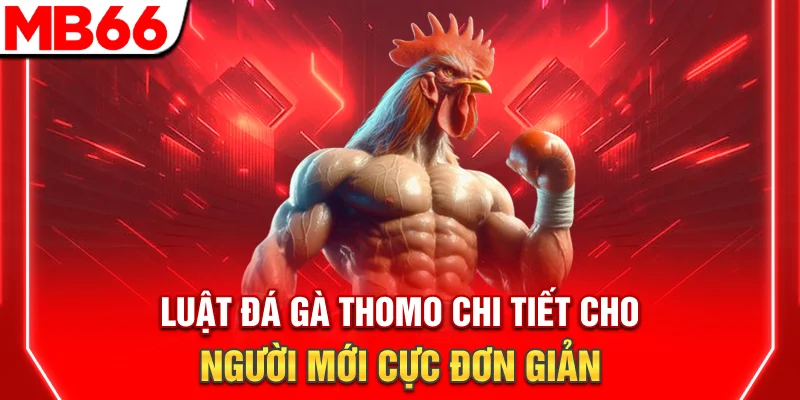 Luật Đá Gà Thomo Chi Tiết Cho Người Mới Cực Đơn Giản 6 Luật Đá Gà Thomo Chi Tiết Cho Người Mới Cực Đơn Giản
