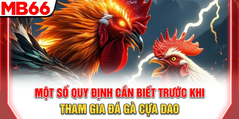 Một số quy định cần biết trước khi tham gia đá gà cựa dao